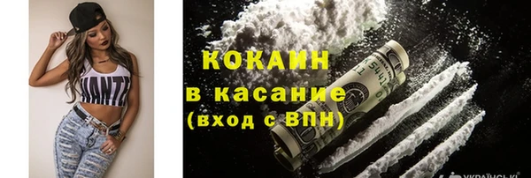 шишки Алексеевка