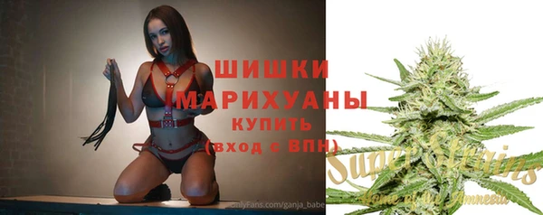 ПСИЛОЦИБИНОВЫЕ ГРИБЫ Алексин