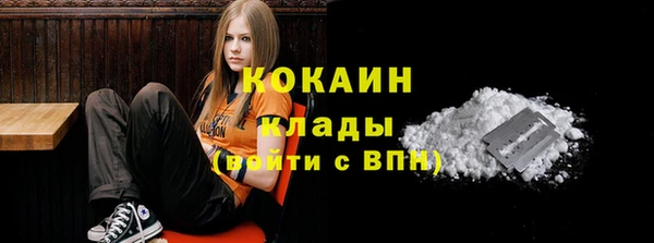 spice Алзамай