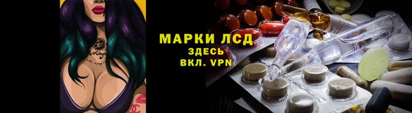 spice Алзамай