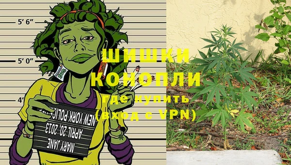 шишки Алексеевка