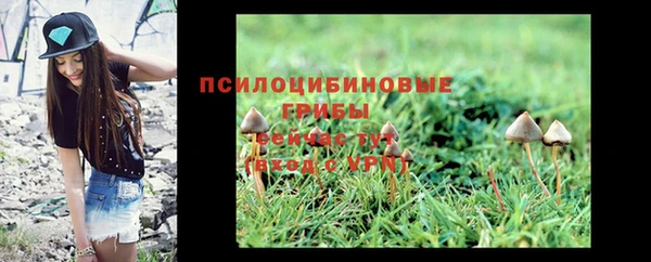 ПСИЛОЦИБИНОВЫЕ ГРИБЫ Алексин