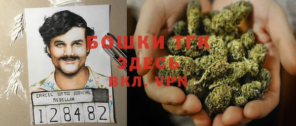 шишки Алексеевка