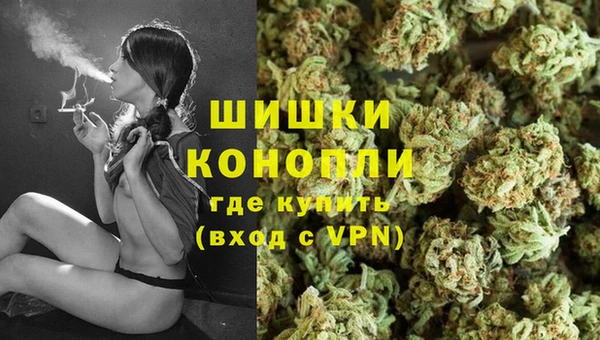 шишки Алексеевка