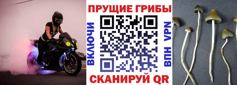 Псилоцибиновые грибы ЛСД  Уварово 